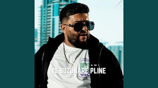 10 buzunare pline [upl. by Carlyn]