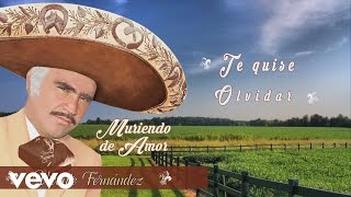 Vicente Fernández  Quisiera Saber Te Quise Olvidar Cover Audio [upl. by Ekalb]