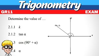 Trigonometry Grade 11 Exam Question [upl. by Sibelle257]