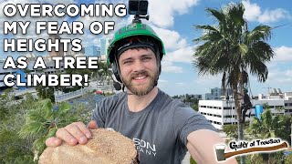 Overcoming My Fear Climbing and Cutting Down a Tall Wobbly Palm Tree [upl. by Iona]