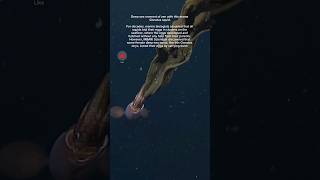 Deepsea moment of zen with this mama Gonatus squid 🐙 short squids explore nature deepsea yt [upl. by Oliviero]