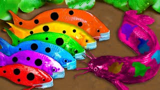 Top 5 Episodes Crocodiles Hunt Colorful Koi Catfish Primitive Cooking Eels  Stop Motion ASMR CoCo [upl. by Sitsuj]