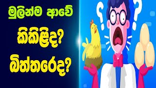 කිකිළිද බිත්තරේද මෙන්න උත්තරේ  Dannawada [upl. by Zephan892]