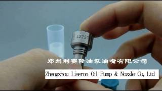 Delphi nozzles L222 PBC [upl. by Ahsemot342]