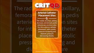 Arterial Catheter Placement Sites [upl. by Alusru521]