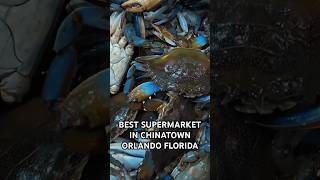 BEST SUPERMARKET IN CHINATOWN ORLANDO FLORIDA FULL VLOG RichieRayRpl [upl. by Nerb]