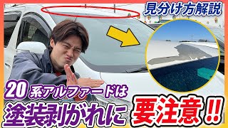 【トヨタ車】070パールホワイトの塗装剥がれに要注意！購入時の見分け方や維持していくコツを解説【アルファード・エスティマ】 [upl. by Margret]