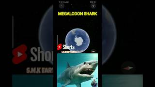 megalodon shark in Google map googleearth scary shortsfeed shortvideo [upl. by Paderna]