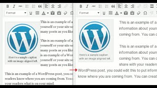 Lesson 18b Formatting and Styling Text alignment bullets lists in WordPress with Classic Editor [upl. by Tanah643]