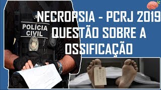 Aula 2  quotIntroduçãoquot PCERJ 2020 [upl. by Grata932]