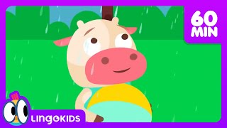 Who Took the Cookie 🔎 🍪  More Nursery Rhymes for Kids  Lingokids [upl. by Gere]