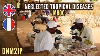 Neglected Tropical Diseases MOOC  Teaser [upl. by Rettuc867]