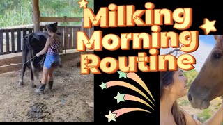 milking morning routine in the farm 😧 [upl. by Nosemaj]