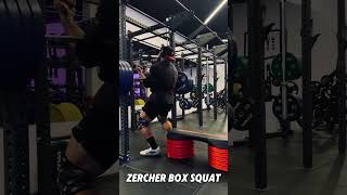 Zercher Box Squat [upl. by Abelard]