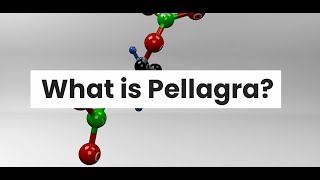 WHAT IS PELLAGRA [upl. by Norab599]