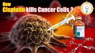 Cisplatin explained  Anticancer medicine  How does Cisplatin work  Concept1 [upl. by Carper]