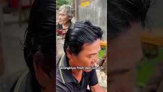 Shampoo Rambut Anti Uban BPOM Penyubur dan Penghitam Rambut Permanen [upl. by Airbas]