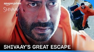 Shivaay Full Movie  Ajay Devgn  Erika Kaar  Abigail Eames  Sayyesha Saigal  Review and Facts [upl. by Eetsim]