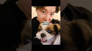 MEET JHOPE FAMILY BTS💜TOMARA [upl. by Enened]