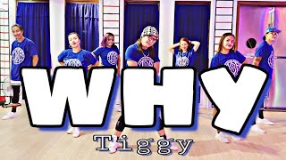 WHY  Tiggy  Dance Fitness  Zumba [upl. by Narak]