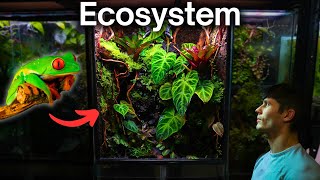 I Made a Jungle Terrarium For a Tiny Frog Here’s How [upl. by Keen]