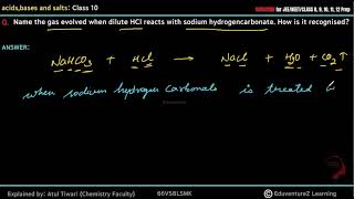 Name the gas evolved when dilute HCl reacts with sodium hydrogencarbonate How is it recognised [upl. by Anauq]