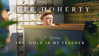 Pete Doherty  The Cold Is My Teacher [upl. by Walke]