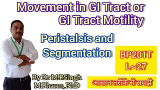 Movement in GI Tract  Peristalsis amp Segmentation  Human Anatomy amp PhysiologyII  BP201T  L27 [upl. by Kenton545]