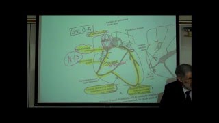 ANATOMY CIRCULATORY SYSTEM PART 4 CARDIAC DISORDERS by Professor Fink [upl. by Georgia858]