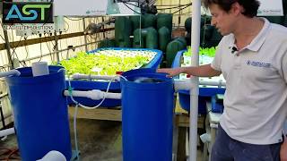 Decoupled Aquaponics Garden System Kit 800 Gallons Grow Produce and Fish without water pumps [upl. by Orabla]