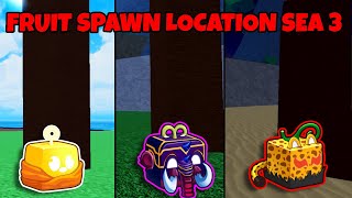 DEVIL FRUIT SPAWN LOCATION SEA 3 BLOX FRUITS [upl. by Leiva]