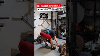 Build NEXT LEVEL Hamstrings With This Simple Grip Tweak 😌 Supercharge Your RDLs [upl. by Schreibman808]