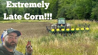 Planting Corn On 4th Of July Will This Work Out [upl. by Ardis]