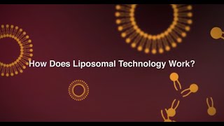 Dr Mercola How Does Liposomal Technology Work [upl. by Ahsekal607]