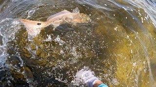 High Winds and Big Redfish Fishing Southwest Florida [upl. by Fredia]