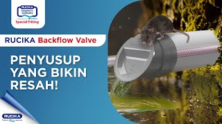 RUCIKA BACKFLOW VALVE Aman dan Higienis [upl. by Marjorie]