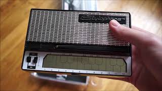 I just bought a Stylophone and you know what that means [upl. by Jules557]