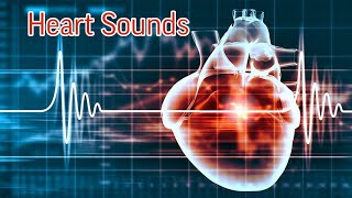 Heart Sounds Part  2  MisMedicine [upl. by Meter956]