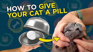 How To Give Your Cat A Pill  VetVid Cat Care Vido [upl. by Aelhsa]