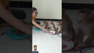 3 Obediently Waiting Mom Cut Watermelon T [upl. by Anihpled]