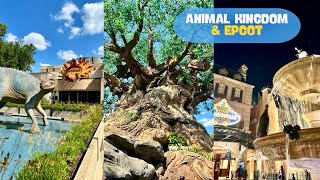 Animal Kingdom amp Epcot Adventures  Last Full Day at Disney World  Keeping up in Disney [upl. by Seow]