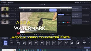 Add A Watermark In Movavi Video Converter 2023 [upl. by Esidnak]