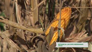 Córdoba Agroecológica 14 Estancia Las Dos Hermanas Arias [upl. by Avelin216]