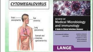 Microbiology  Cytomegalovirus microbiology cytomegalovirus [upl. by Penrod453]