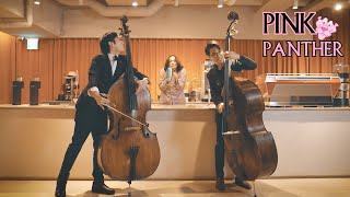 PINK PANTHER Theme Double Bass [upl. by Anohs152]