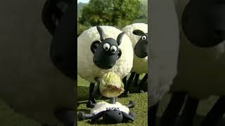 Welcome to the Mossy Bottom Farm Soccer LeagueShaunTheSheep [upl. by Evania]