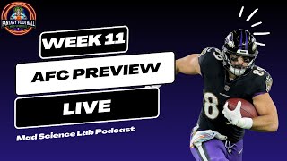 NFL Week 11 Fantasy Football AFC Home Games Preview [upl. by Belcher]