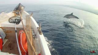 Pesca traina Punta Pellaro Reggio di CalabriaTrolling Punta Pellaro Reggio Calabria [upl. by Lokkin700]