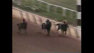 Coastal  1979 Belmont Stakes [upl. by Eniawtna]