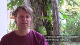 Polarity Therapy amp 5 Element Body Work Certification [upl. by Marchal]